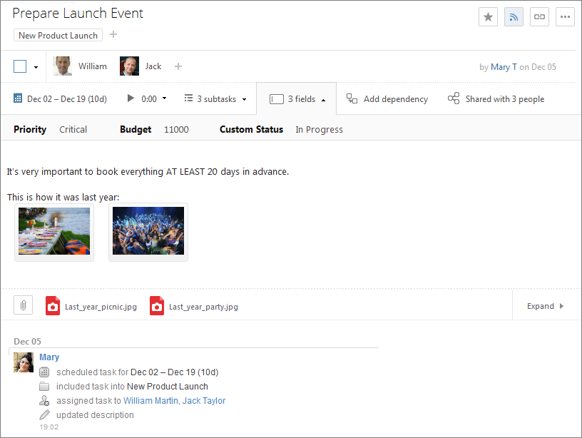 custom-fields-task-view