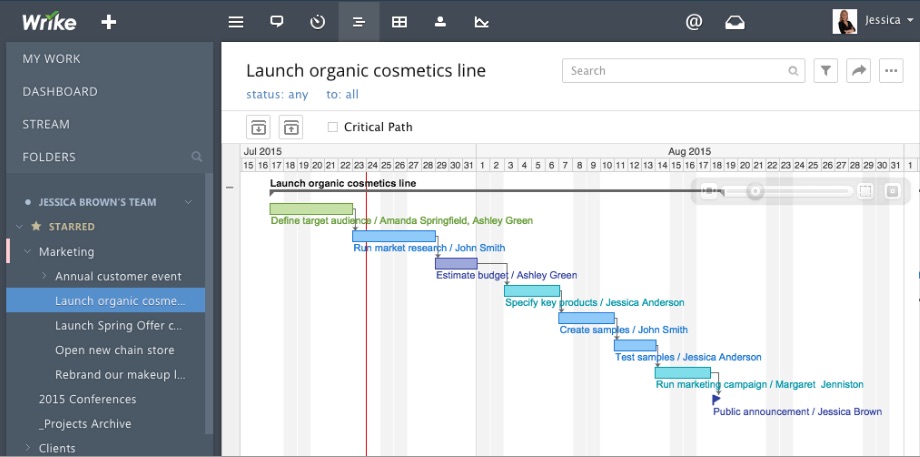 Microsoft Project Gantt Chart Timeline