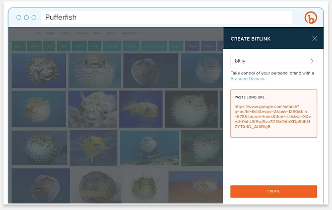 Bitly - 51 Chrome Browser Extensions to Amplify Your Productivity