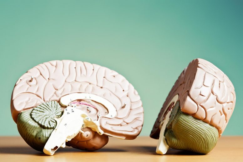 Knowledge Decays. Here’s How Your Organization Can Keep Up 4