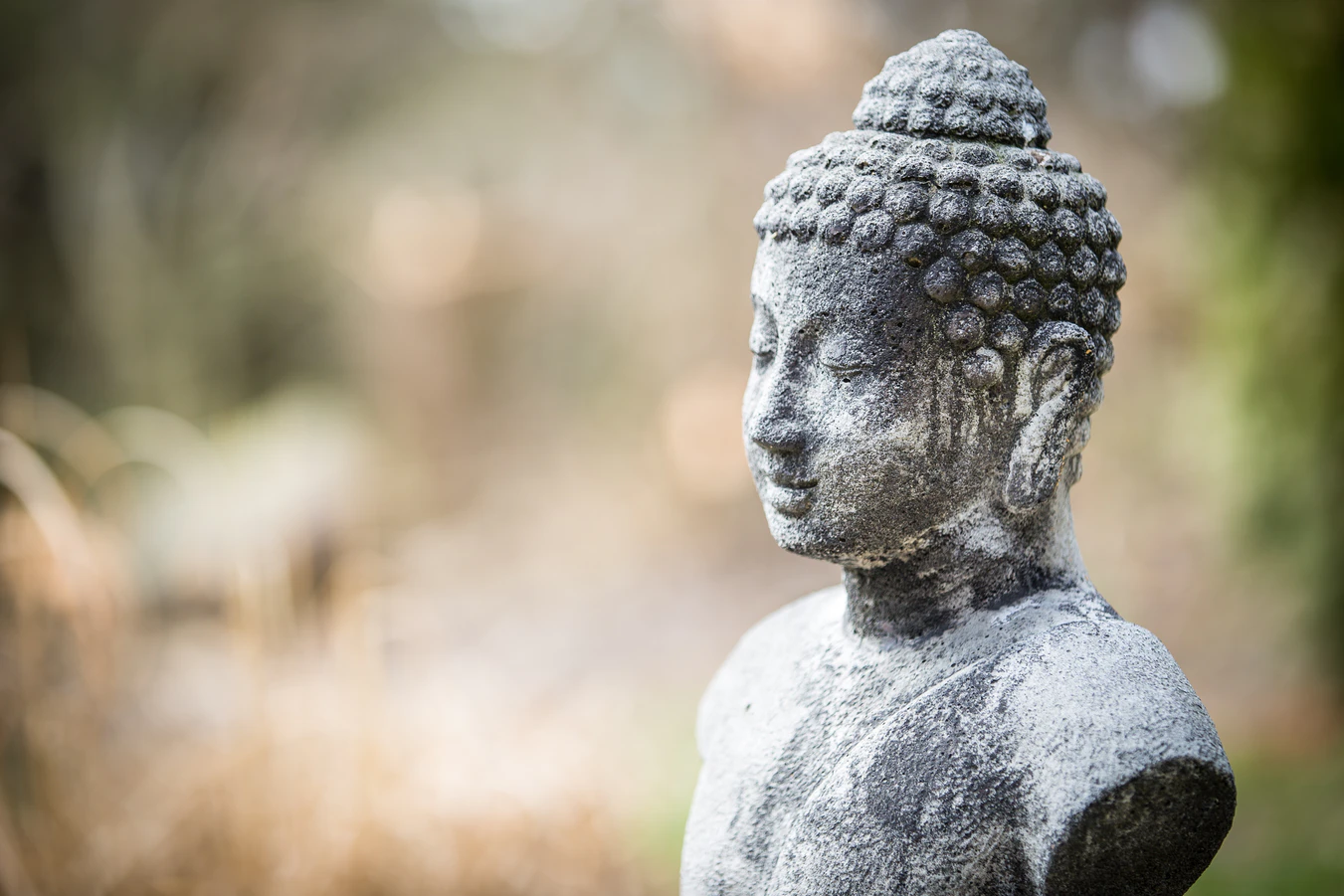 5 Ways to Bring Mindfulness to the PMO 2