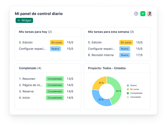 Panel De Control Diario Con Gráficos De Rendimiento Y Calendario De Tareas.