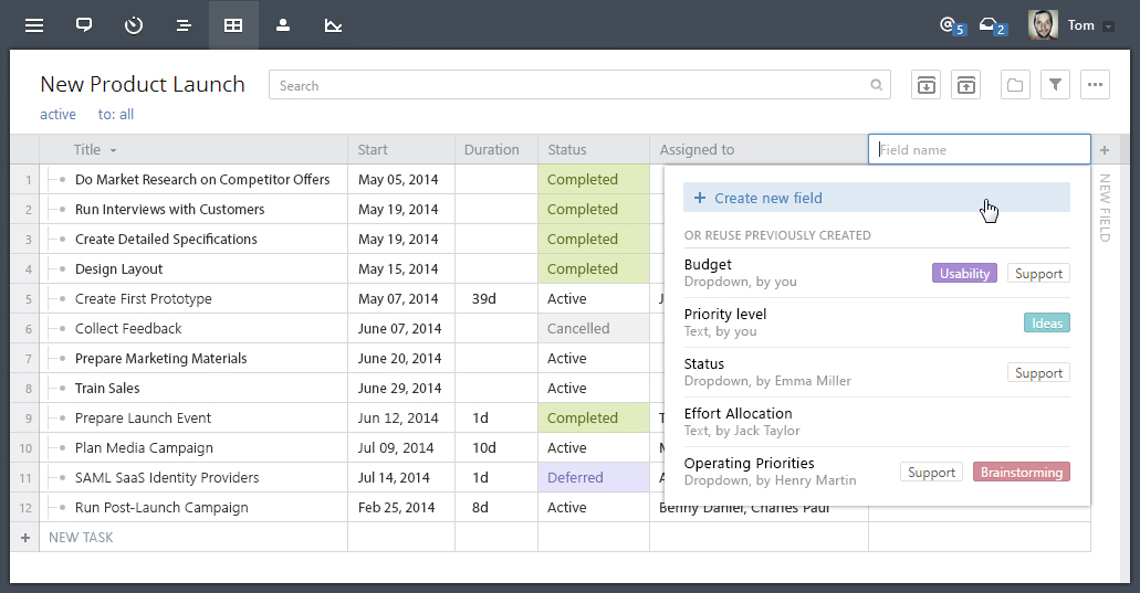 Personalize Wrike With New Custom Fields