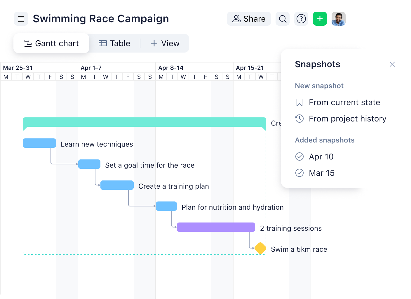 Gantt Chart Software That's Powerful and Easy to Use | Wrike